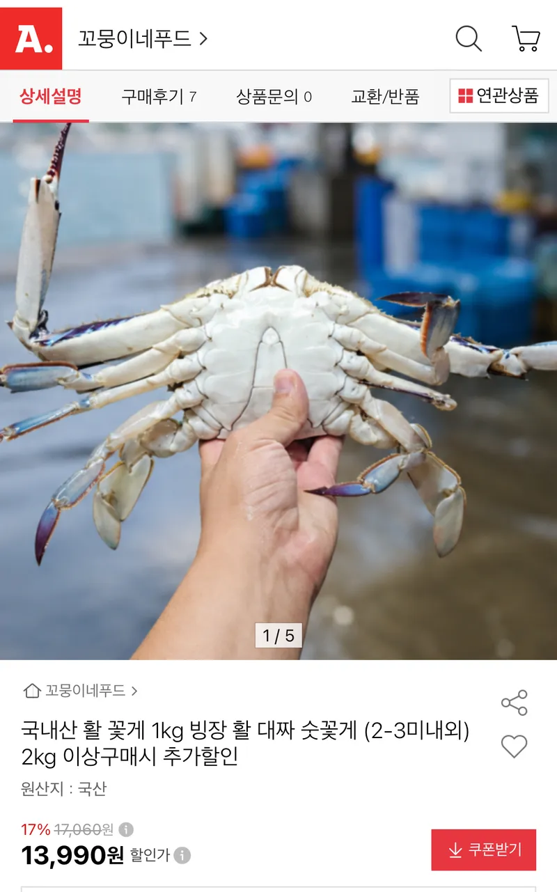 대짜 숫꽃게 1kg (2-3미내외)