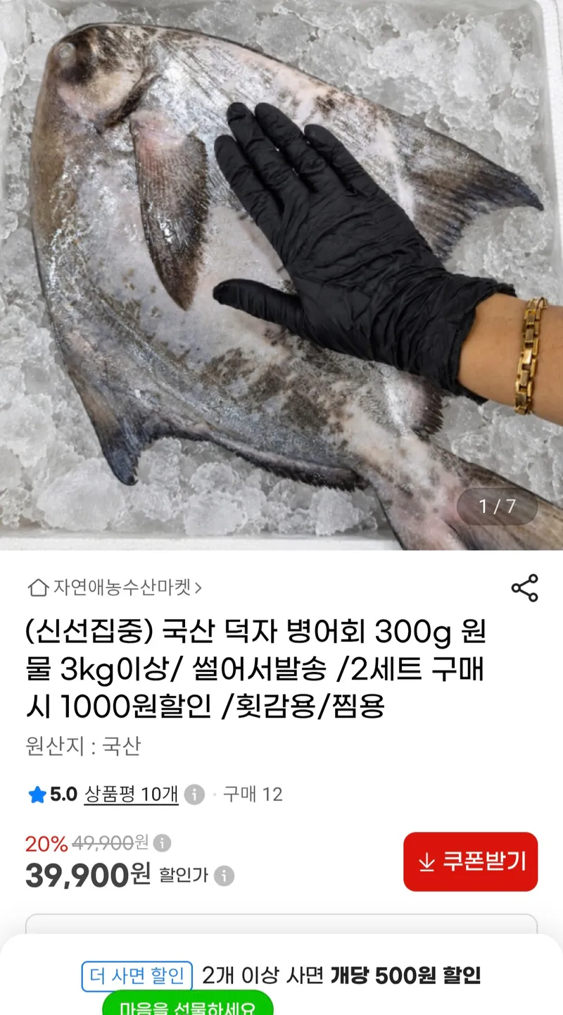 국산 덕자병어회 300g 원물 3kg이상 썰어서벌송