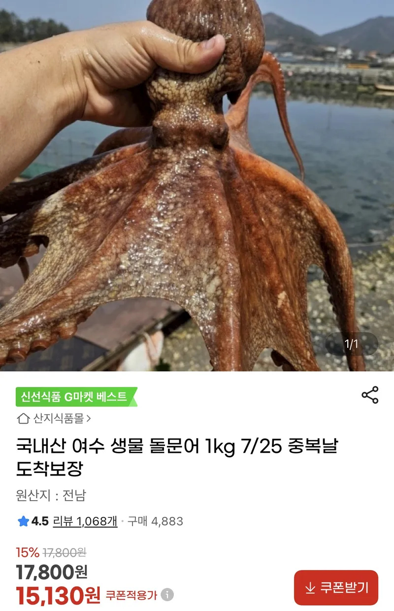 국내산 여수 생물 돌문어 1kg