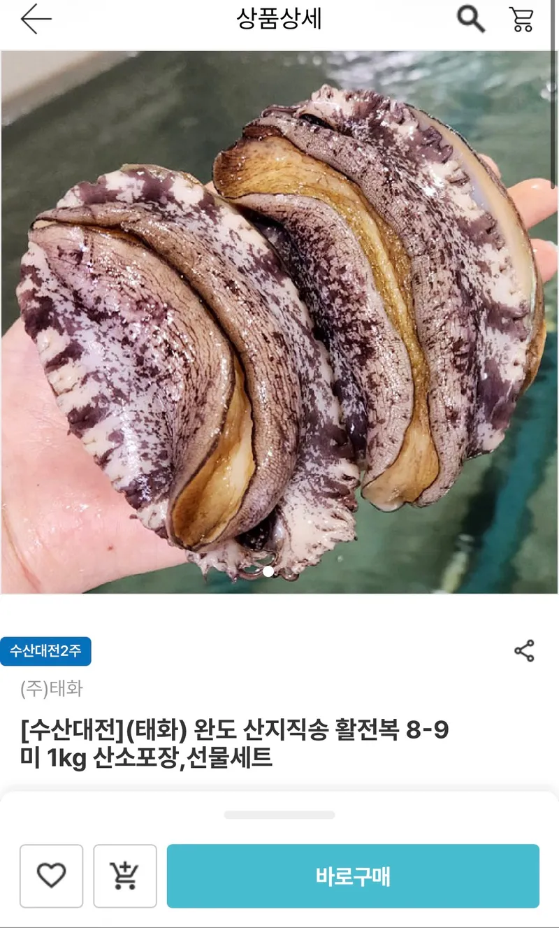 완도 산지직송 활전복 1kg (8-9미)