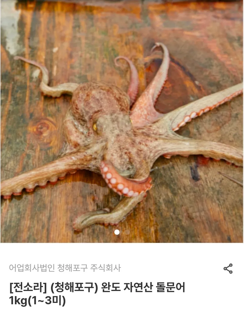 완도 자연산 돌문어 1kg(1~3미) 외 홍어 라이브