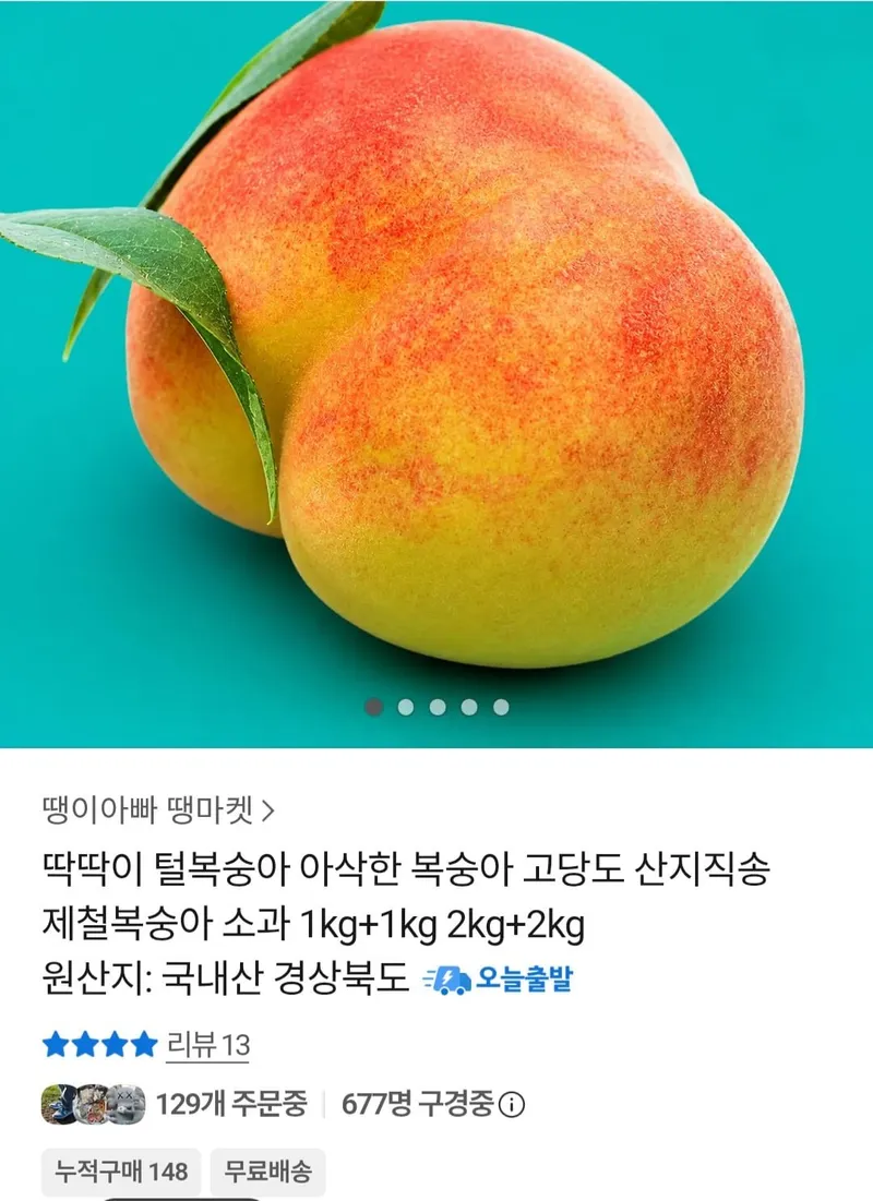딱딱이 털복숭아 중과 2kg