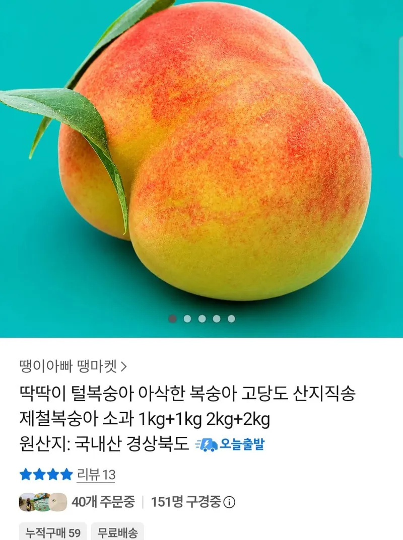 딱딱이 털복숭아 1kg + 1kg