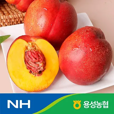 국내산 천홍 천도 복숭아 2kg 대과(11-14과) / 농협선별