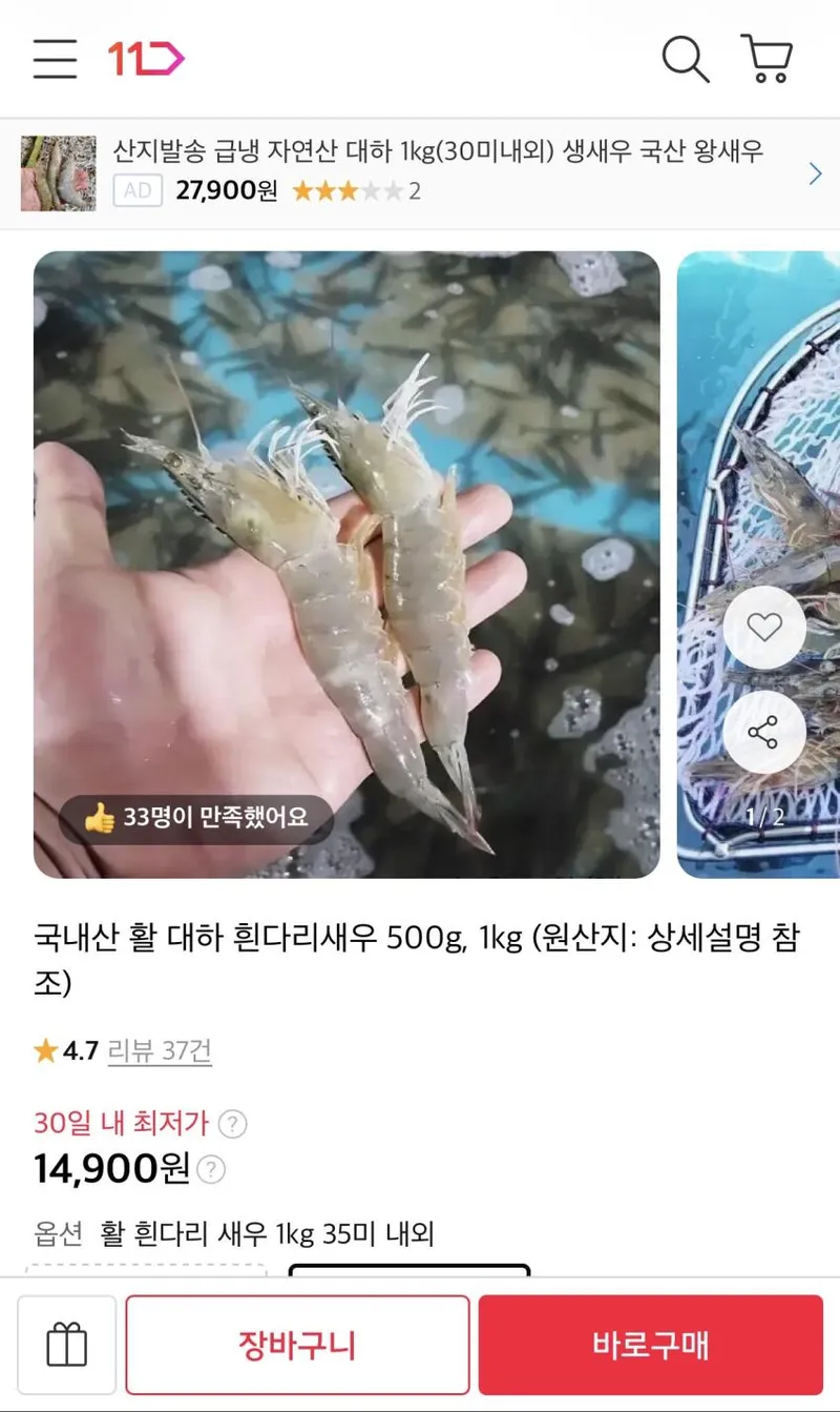 국내산 활 대하 흰다리새우 500g