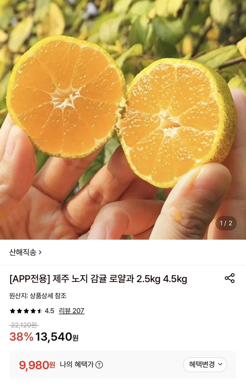 제주 노지 감귤 로얄과 4.5kg