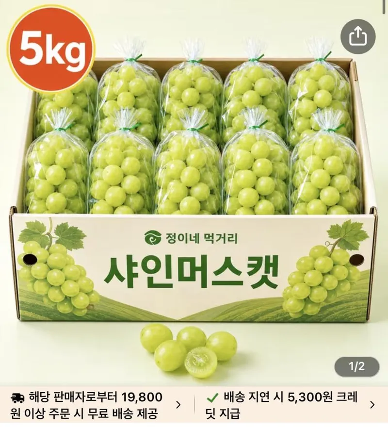 샤인머스켓 5kg