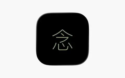 NEN: Focus Timer 일시